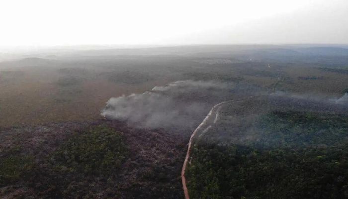 Área queimada no Brasil cresce 248% em relação a janeiro de 2023